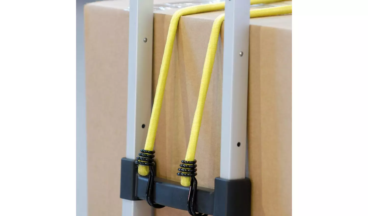 Master Lock 12 Piece Bungee Cord Set 4x60cm, 4x80cm, 4x100cm