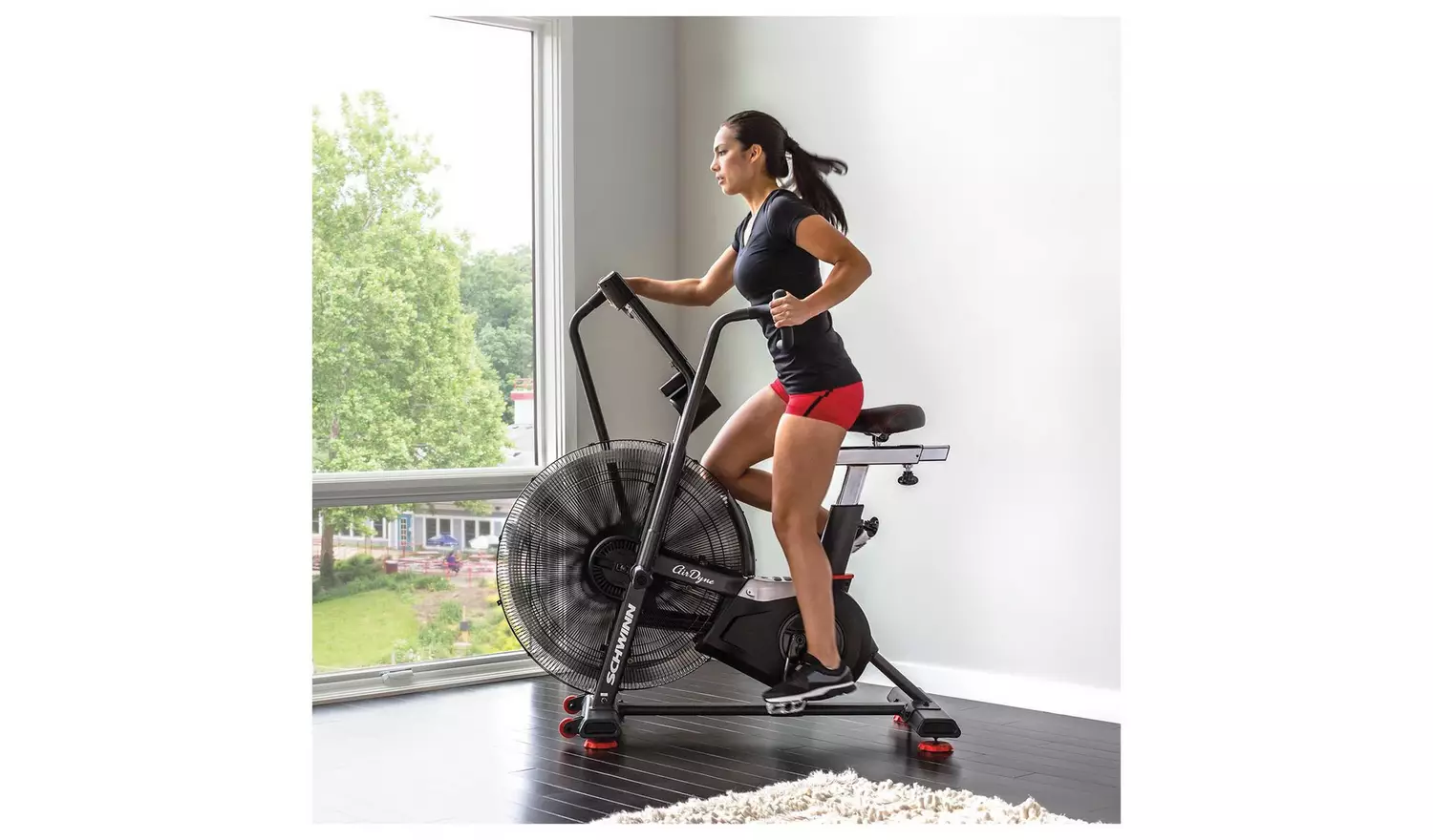 Schwinn Airdyne AD8 Dual Action Exercise Bike