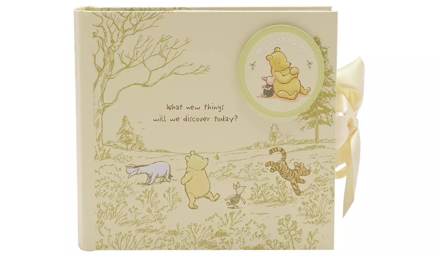 Disney Classic Winnie The Pooh My First Photo Album