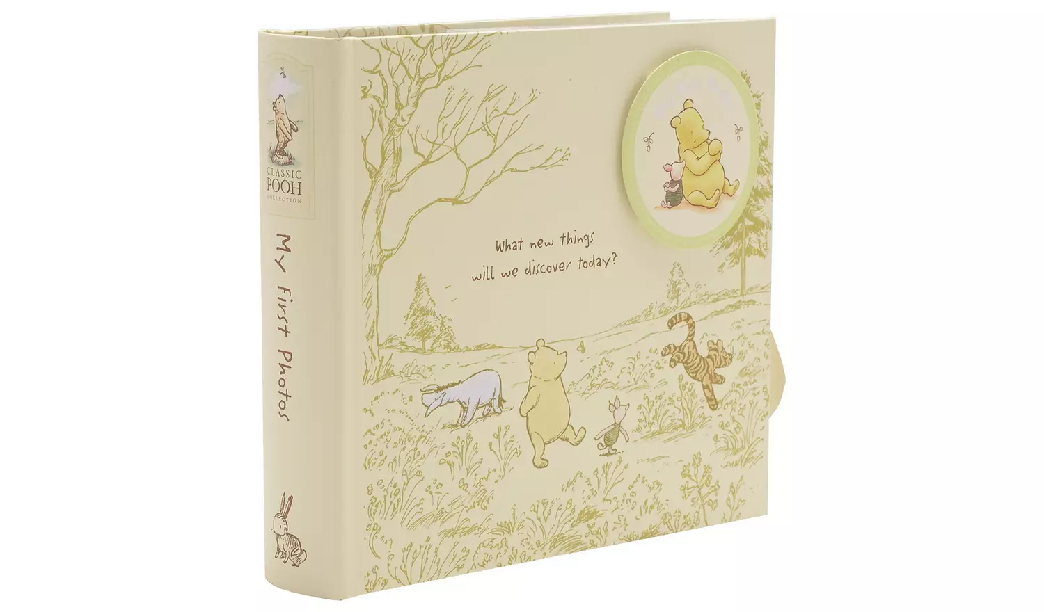 Disney Classic Winnie The Pooh My First Photo Album