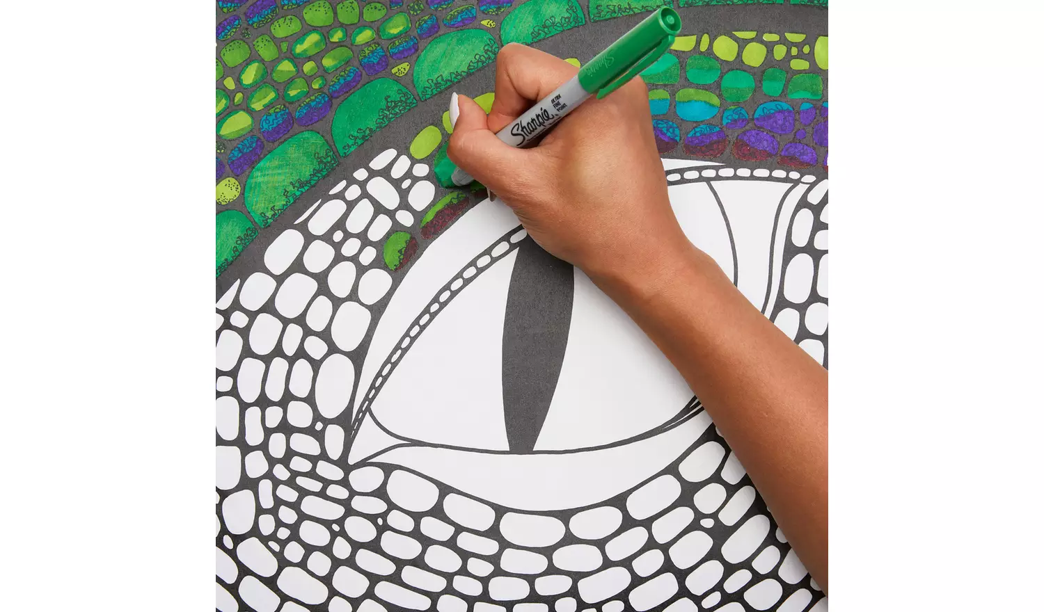 Sharpie Ultra Fine Assorted Permanent Markers - 12 Pack