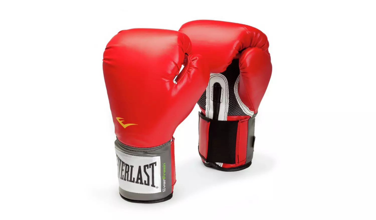 Everlast Junior 2ft Punch Bag with Gloves Set