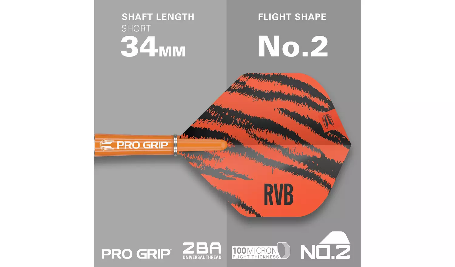 Target Raymond van Barneveld 24g Tungsten Darts Set