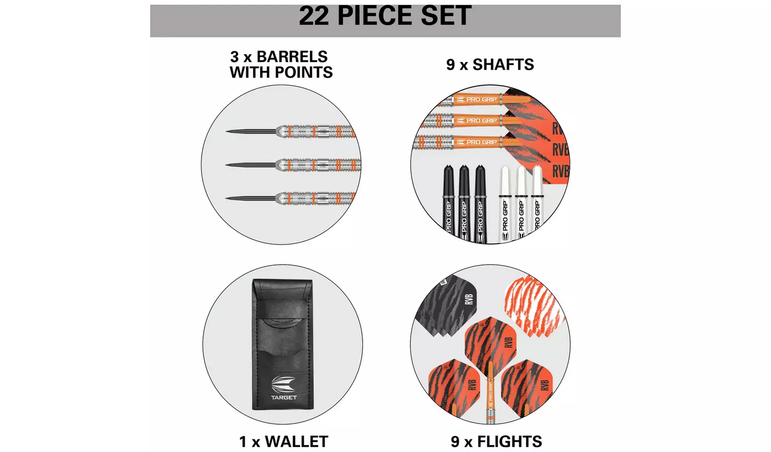 Target Raymond van Barneveld 24g Tungsten Darts Set