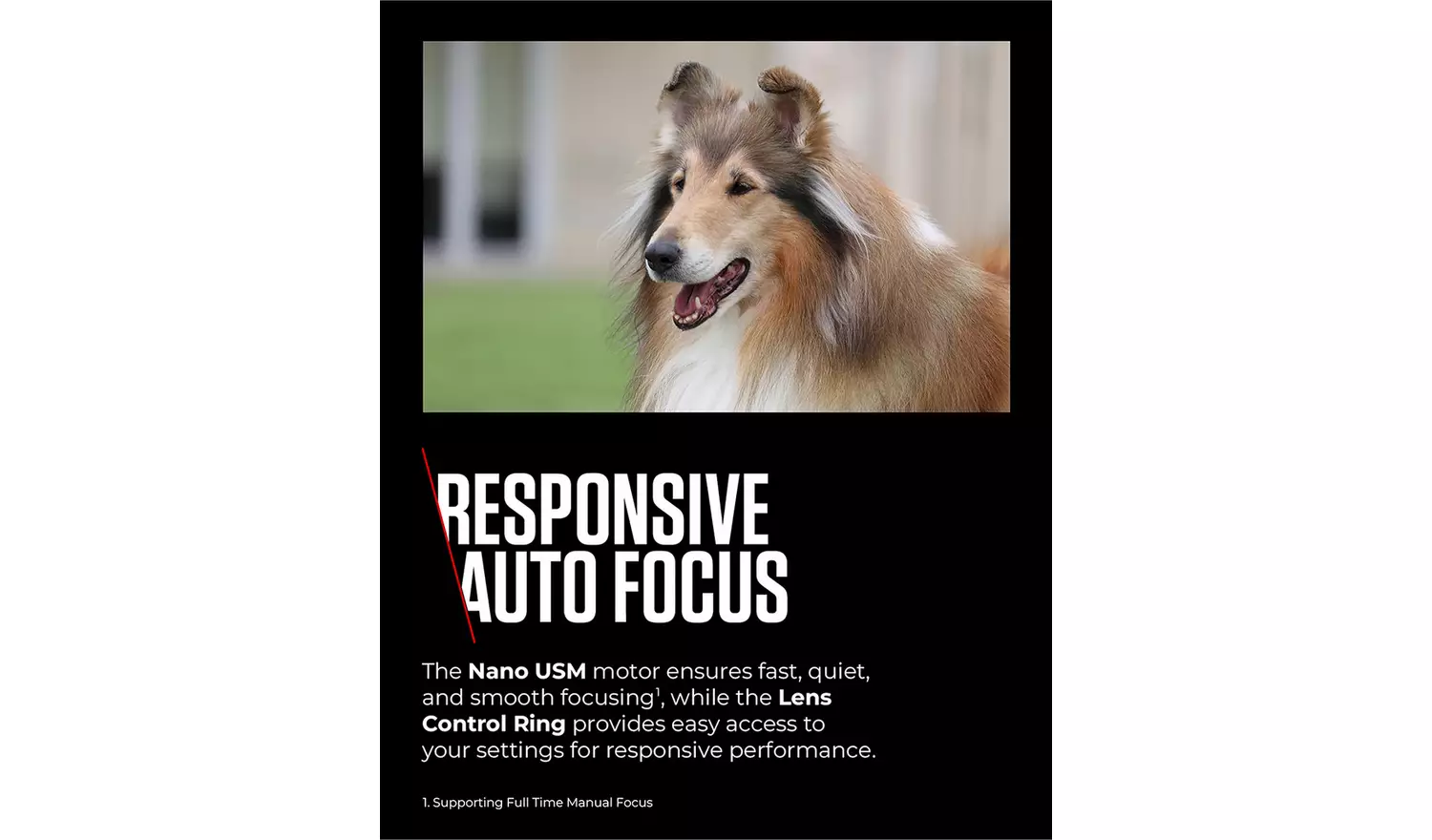 Canon RF 100-400mm f/5.6 - 8 IS USM Lens