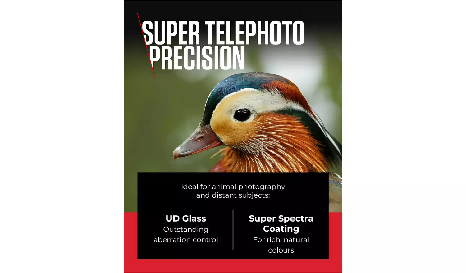 Canon RF 100-400mm f/5.6 - 8 IS USM Lens