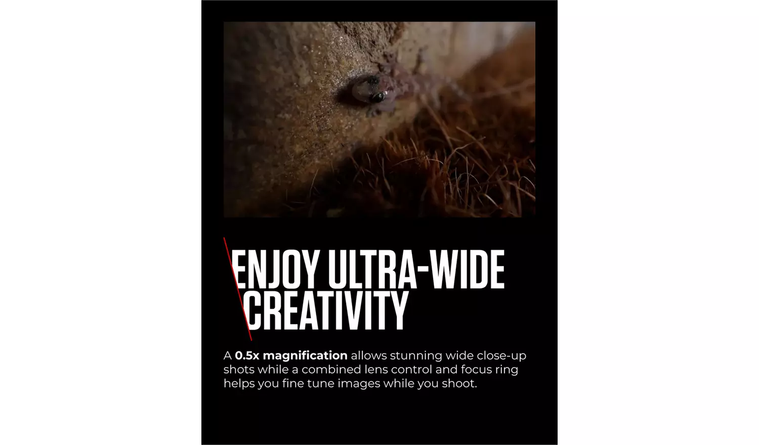 Canon RF-S 10-18mm f/4.5-6.3 IS STM Zoom Lens