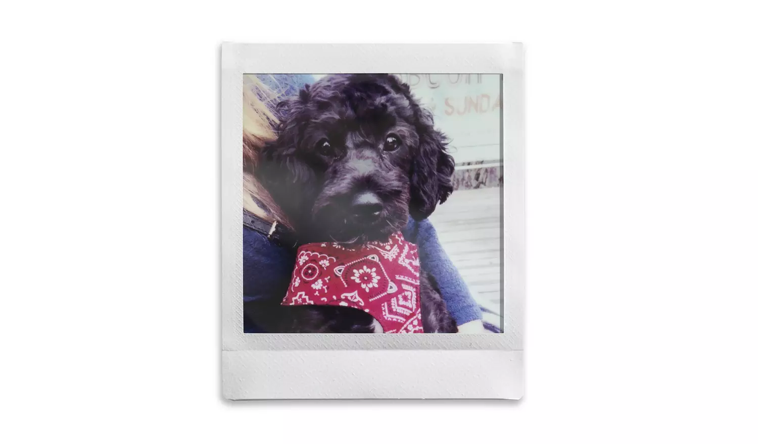 Instax Square Camera Film - 20 Pack