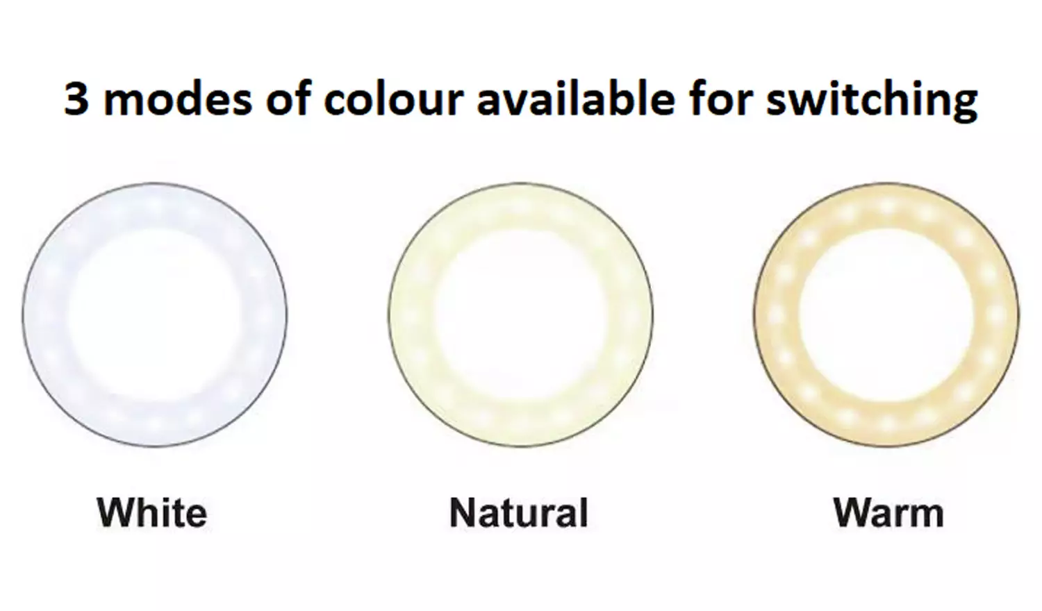 Desk Ring Light With Tripod & Phone Holder