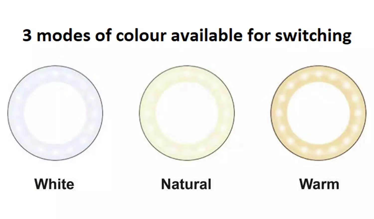 Ring Light With Tripod & Phone Holder