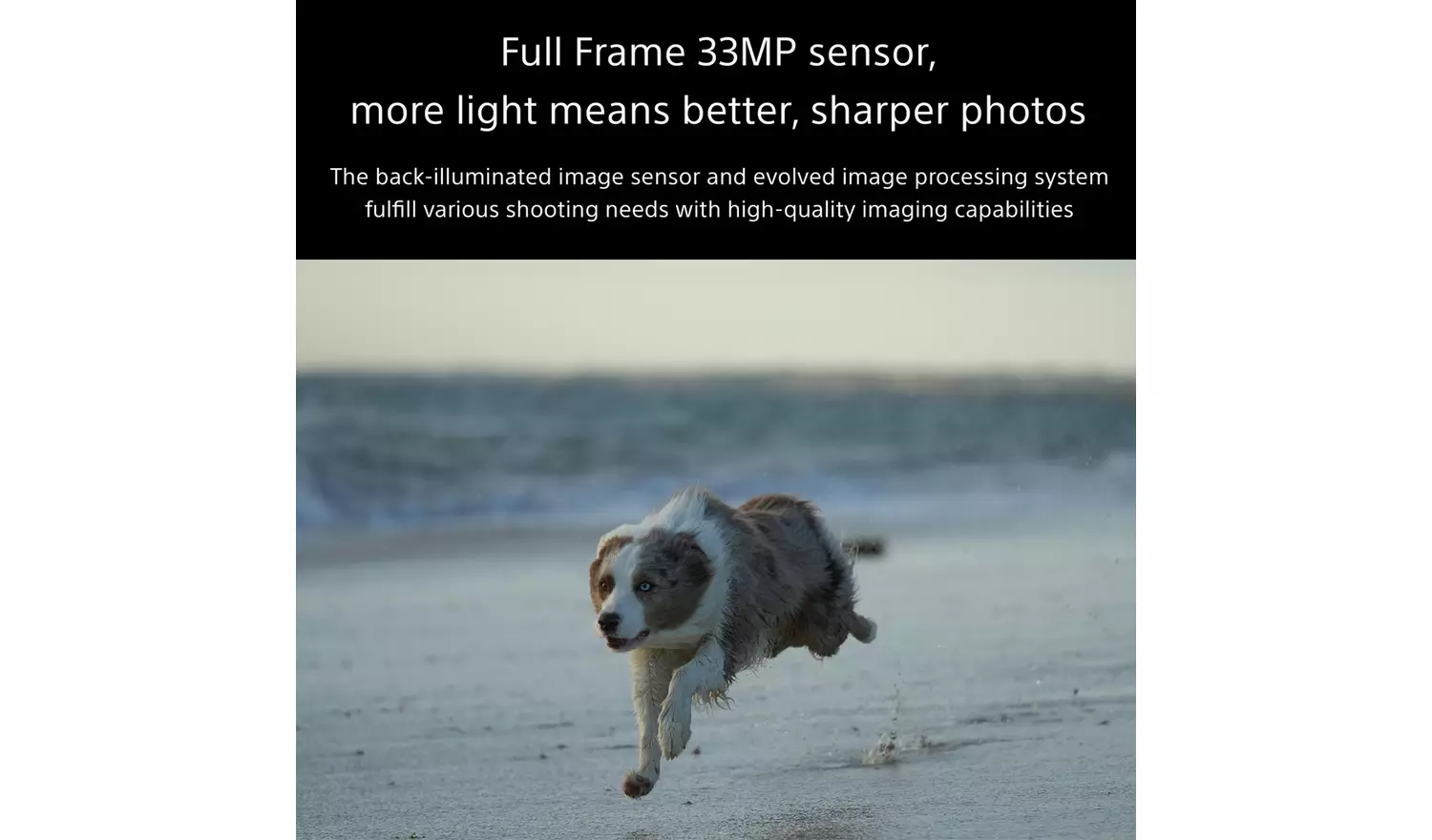 Sony Alpha 7 MK 4 Mirrorless Camera Black