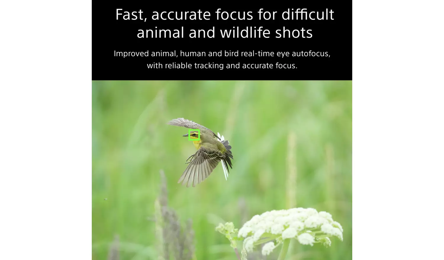 Sony Alpha 7 MK 4 Mirrorless Camera Black