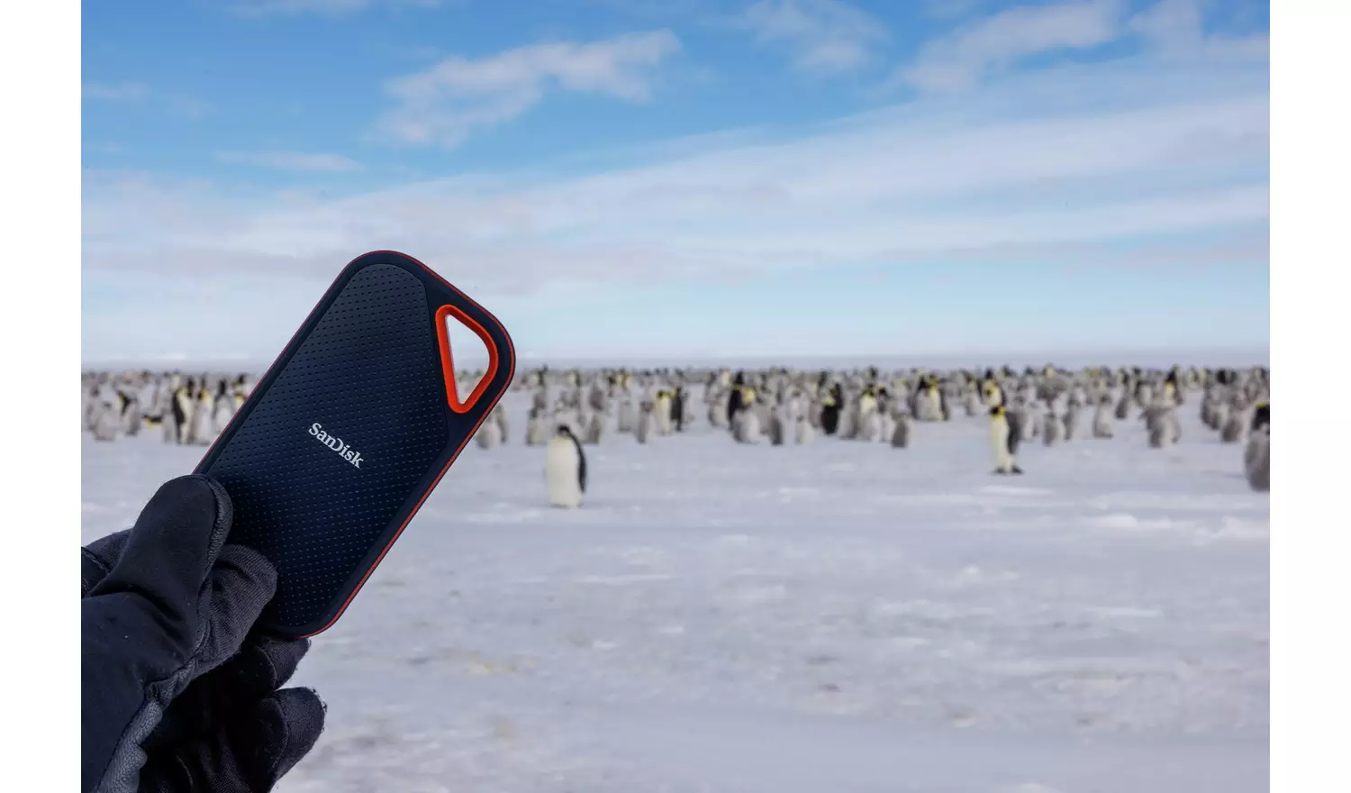 SanDisk Extreme Pro 1TB Portable SSD