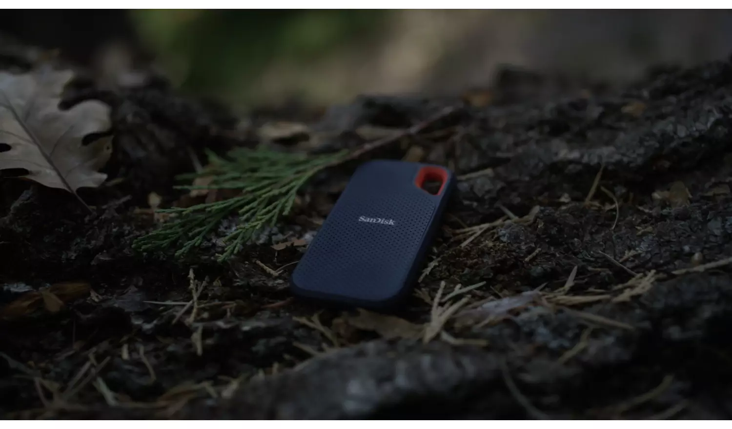 SanDisk Extreme 1TB Portable SSD