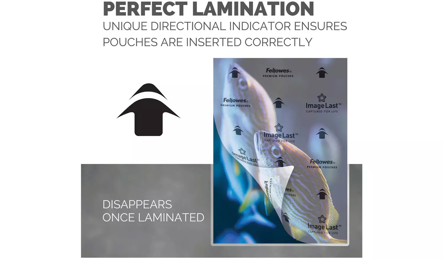 Fellowes A4 80mic Laminating Pouches - 100 Pack