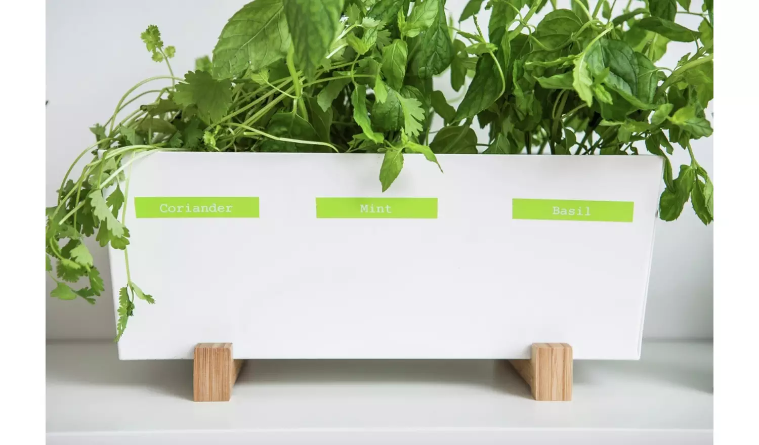 Brother PT-H100R Handheld Label Printer