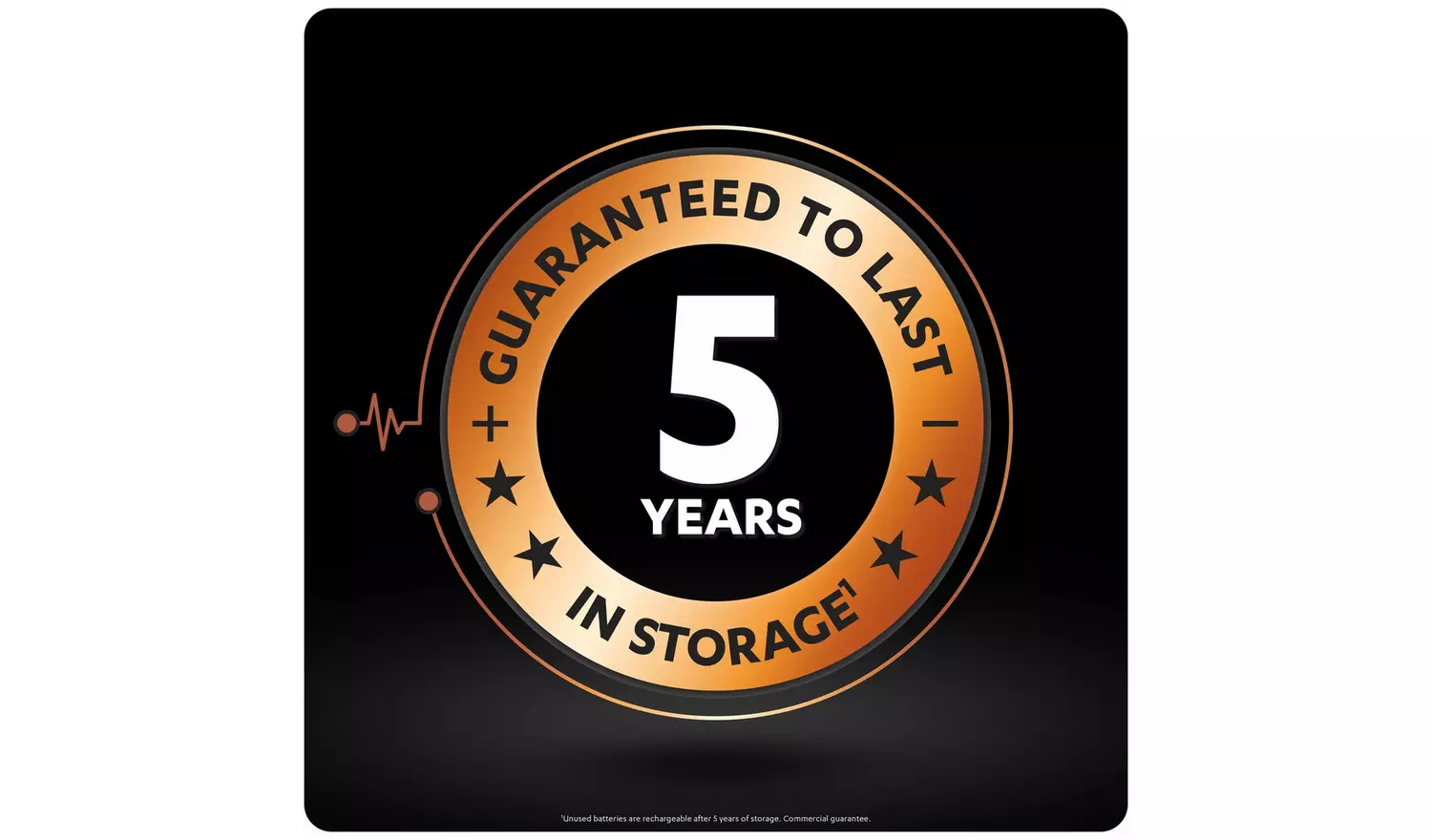 Duracell Plus AAA Batteries, pre-charged - Pack of 4