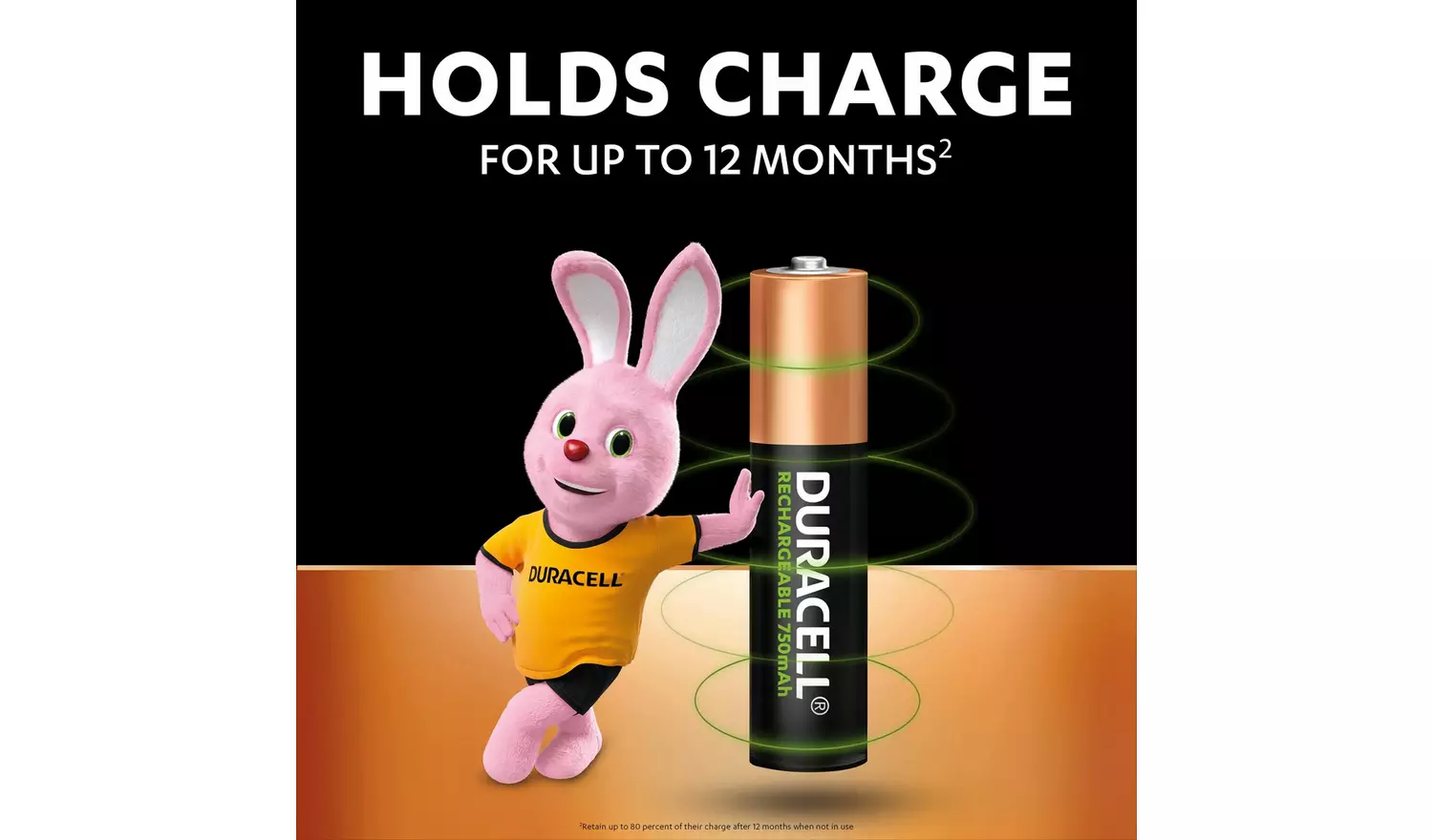 Duracell Plus AAA Batteries, pre-charged - Pack of 4