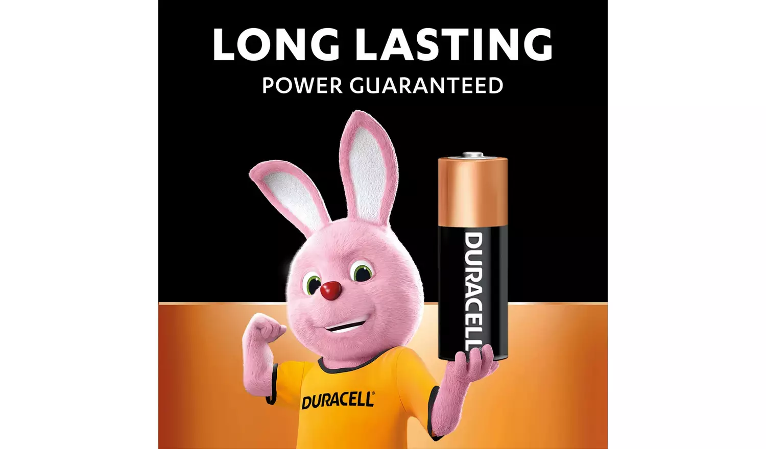 Duracell Alkaline MN21 Battery (A23 / 23A) - Pack of 2