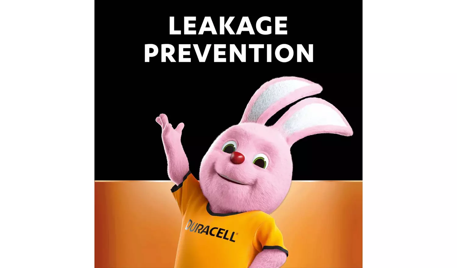 Duracell Alkaline MN21 Battery (A23 / 23A) - Pack of 2