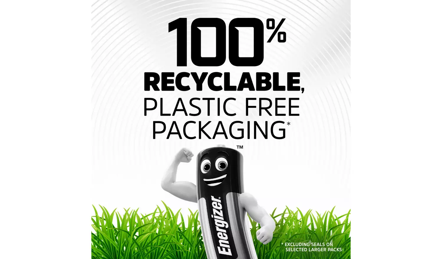 Energizer Alkaline Power AA Batteries - Pack of 24