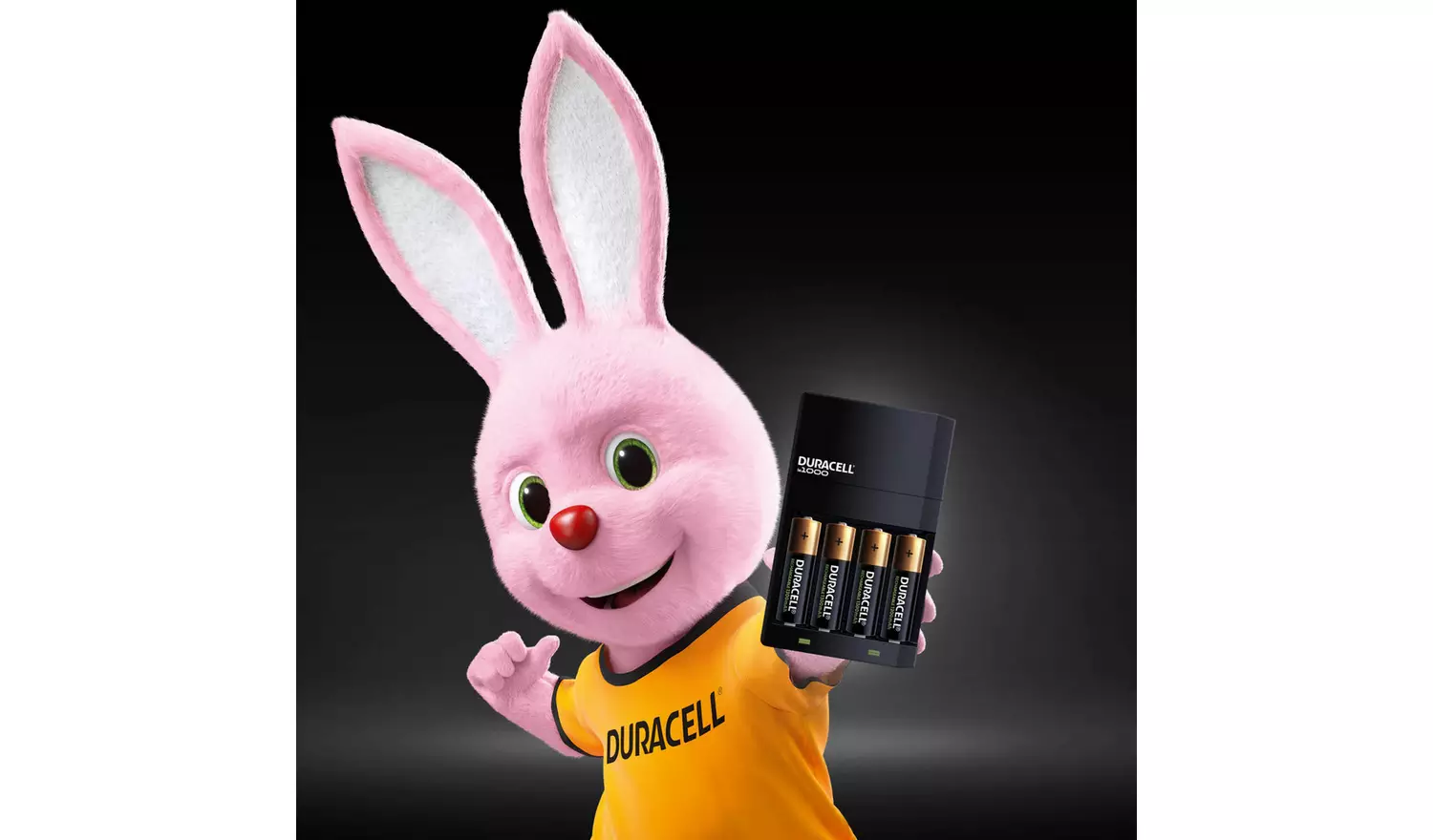 Duracell 4 hours Battery Charger with 2 AA and 2 AAA