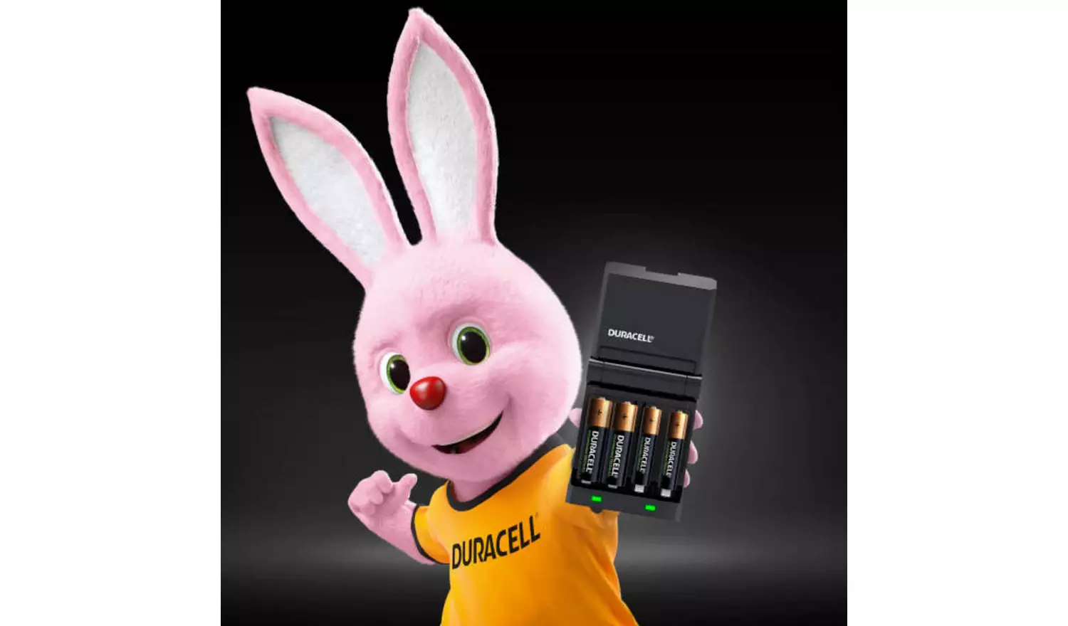 Duracell 45 Minutes Battery Charger with 2 AA and 2 AAA