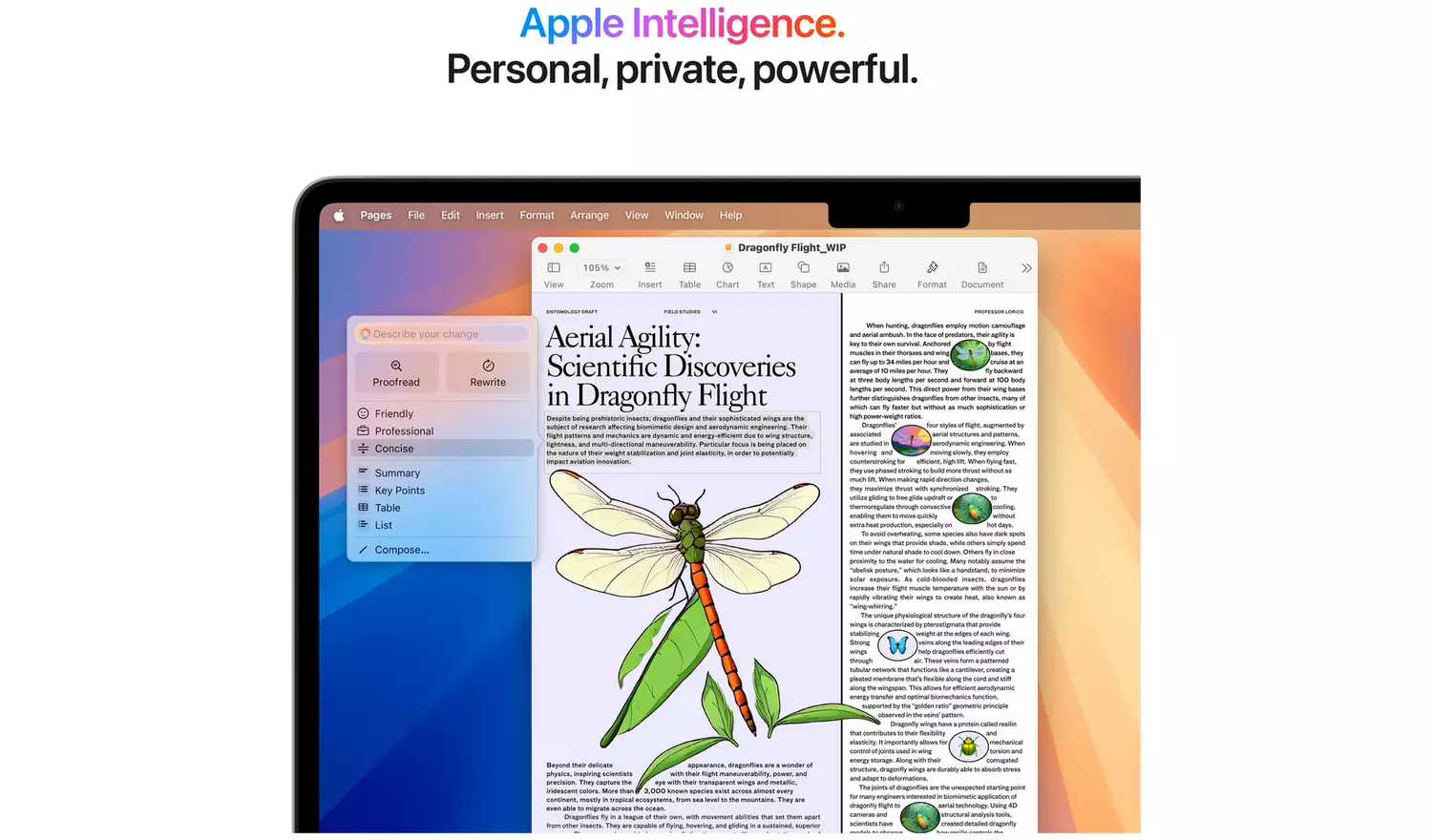 Apple MacBook Air 2025 13.6in M4 24GB 512GB - Starlight