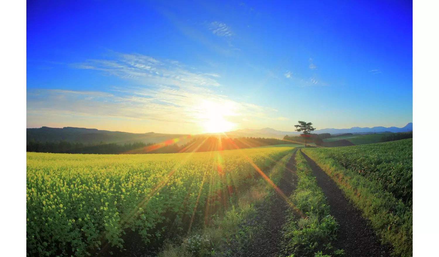 Epson Expression Photo XP-970 Wireless Inkjet Printer