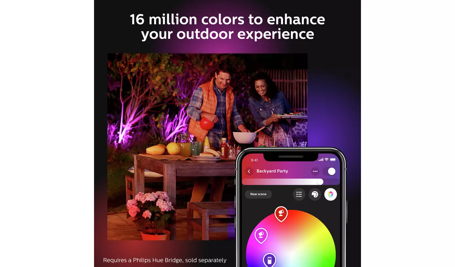 Philips Hue Lily Outdoor Spot Light Extension