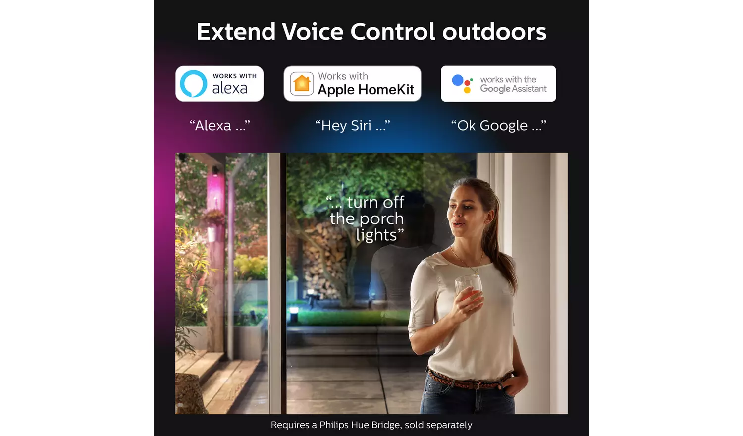 Philips Hue Lily Outdoor Spotlight Extension