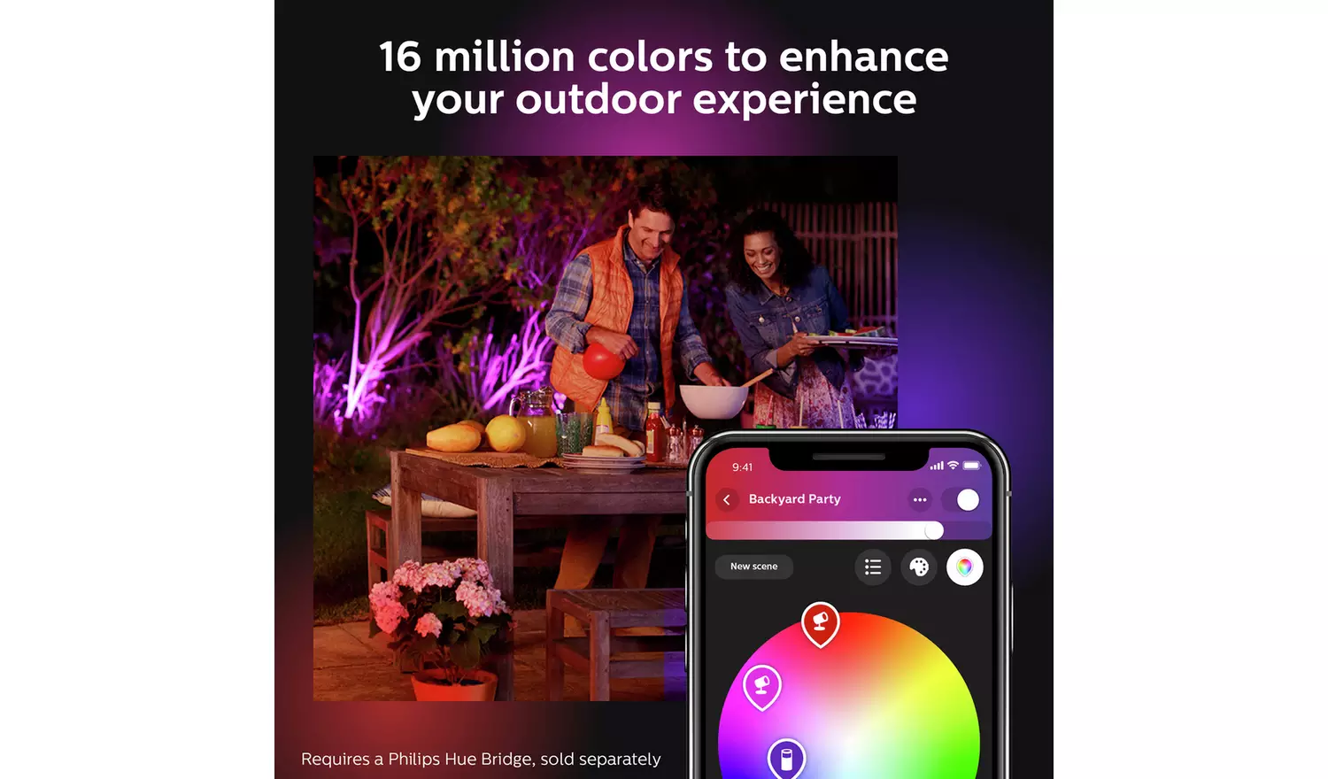 Philips Hue Lily Outdoor Spotlight Extension