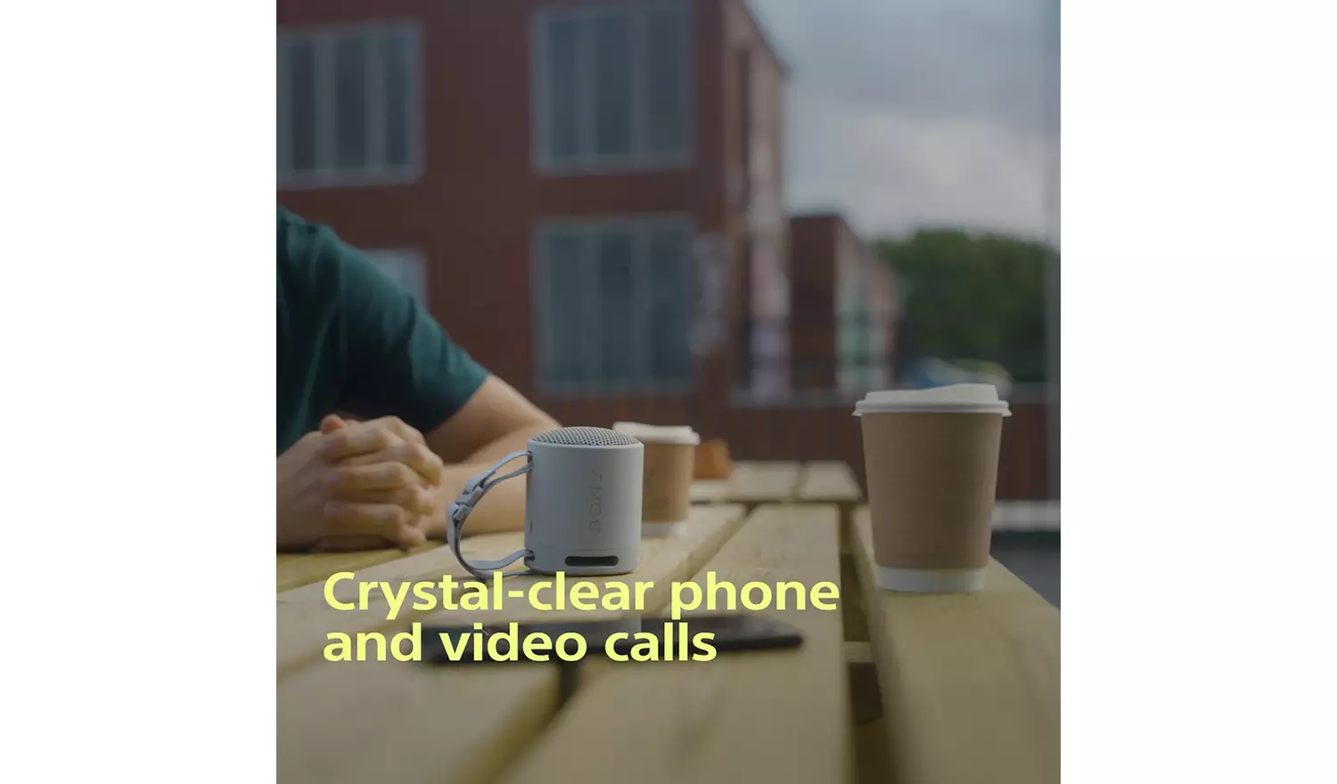 Sony SRS-XB100 Bluetooth Portable Speaker - Grey