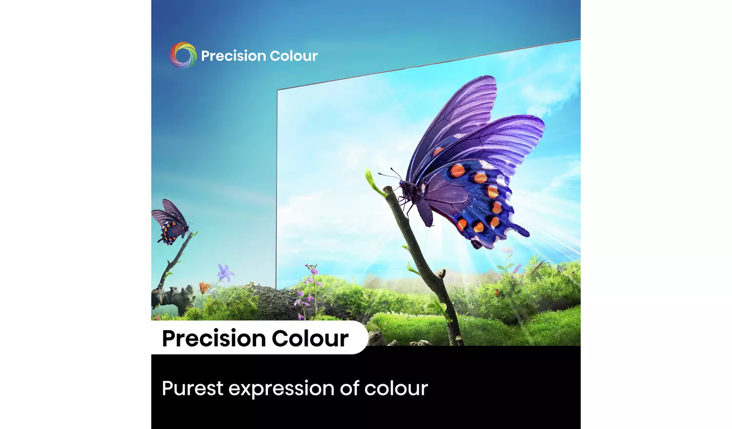 Hisense 65 Inch 65E6NTUK Smart 4K UHD HDR LED Freely TV