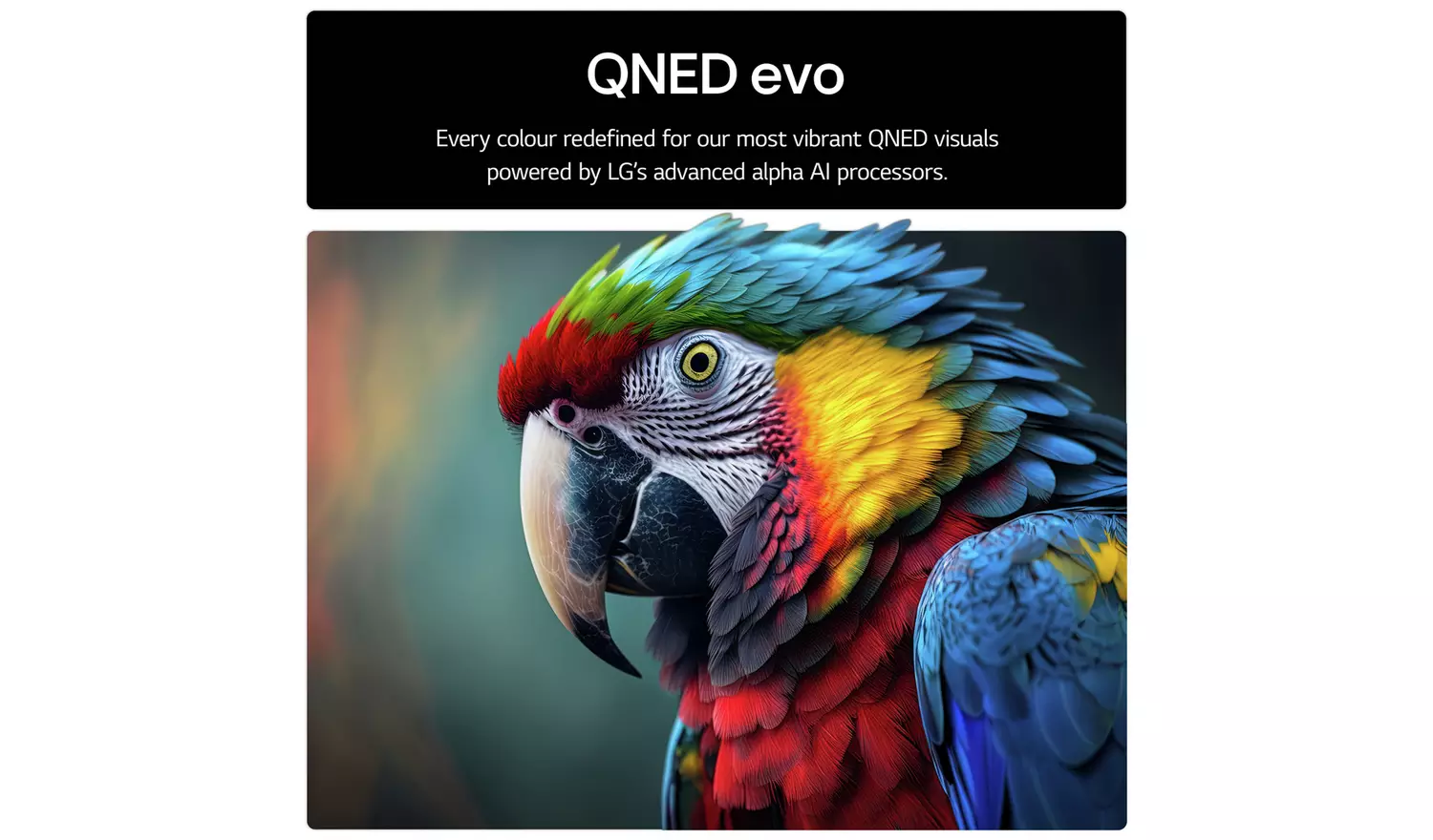 LG 75 Inch 75QNED87A6B Smart 4K UHD HDR QNED TV