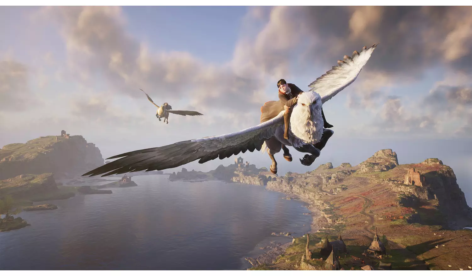 Hogwarts Legacy Nintendo Switch Game