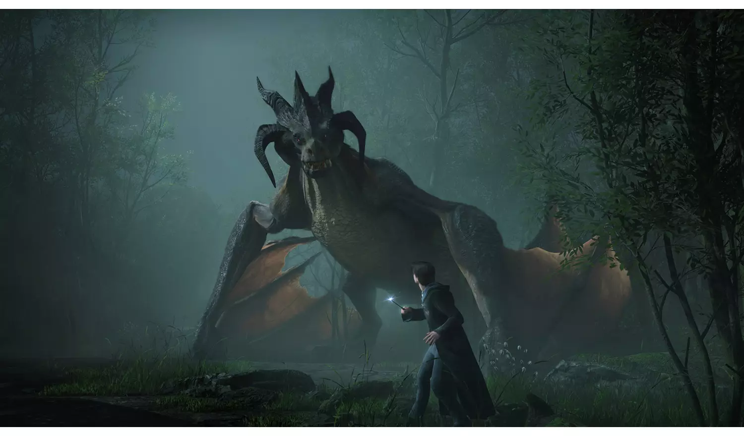 Hogwarts Legacy Nintendo Switch Game