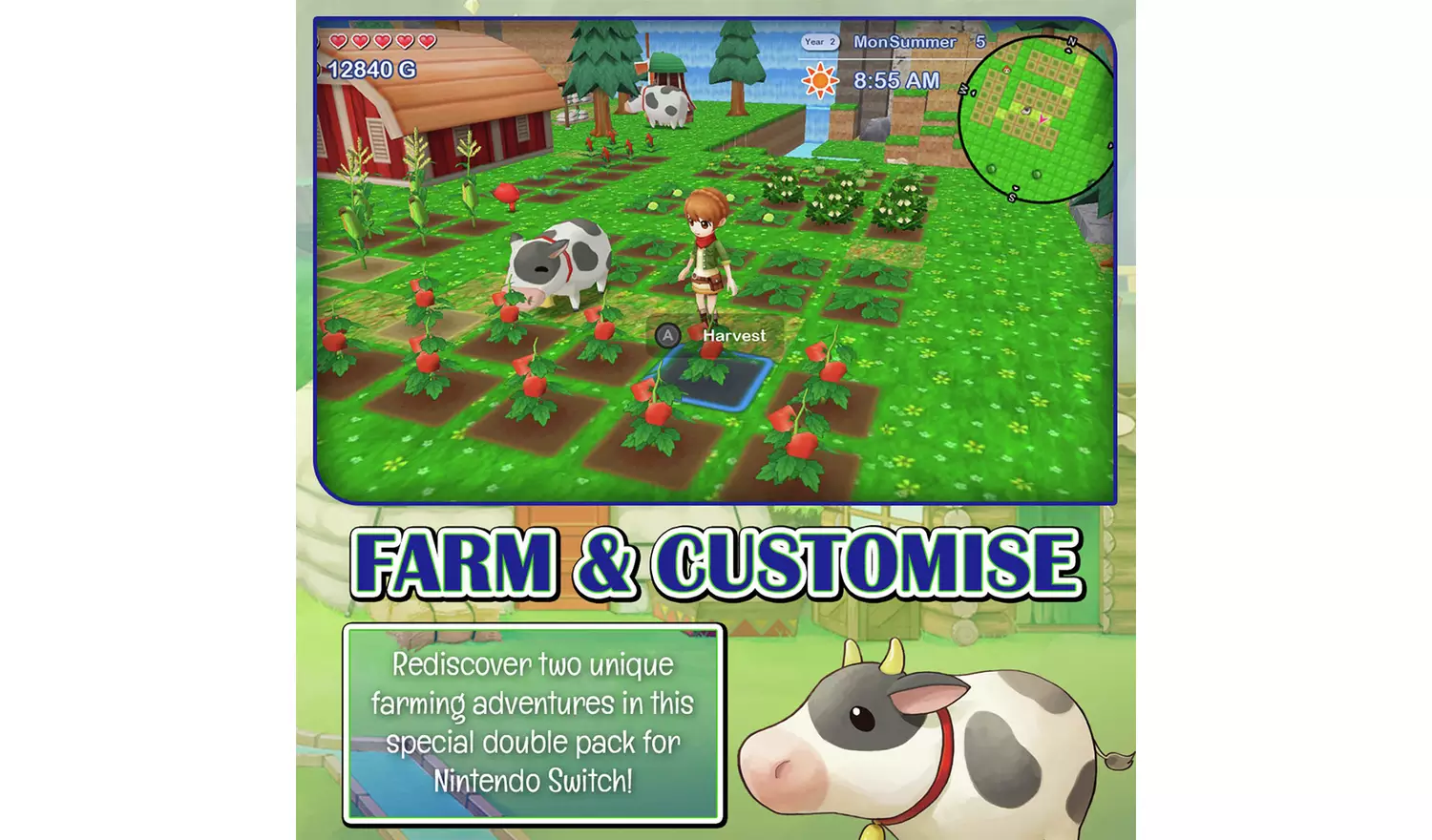 Harvest Moon: The Lost Valley & Skytree Switch Game
