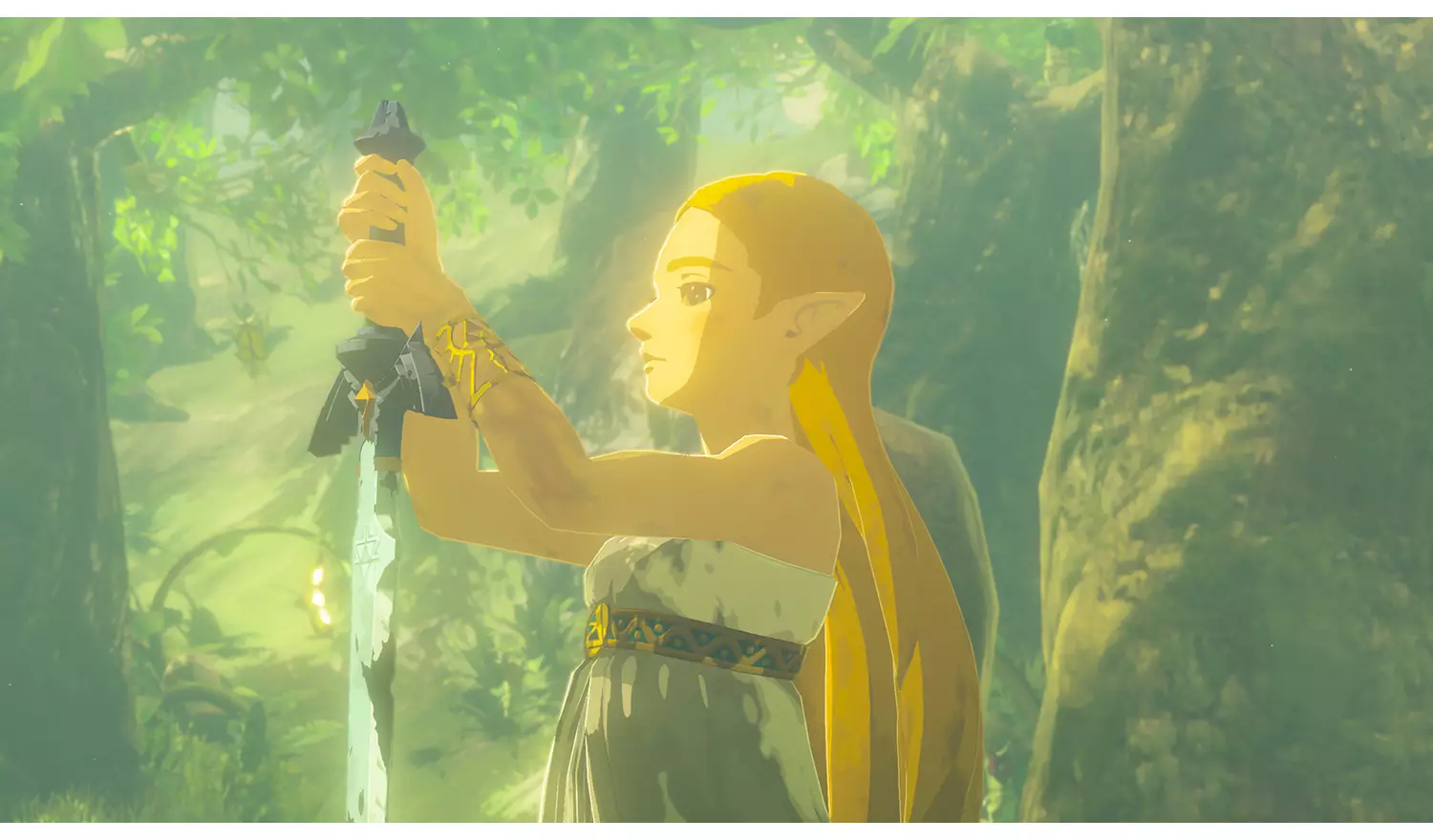 The Legend Of Zelda: Breath Of The Wild Switch 2 Game