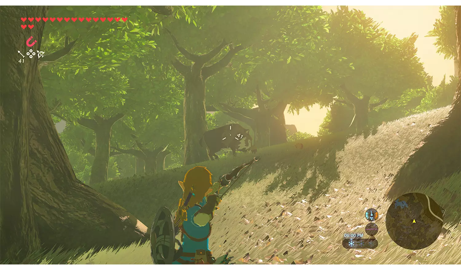 The Legend Of Zelda: Breath Of The Wild Switch 2 Game