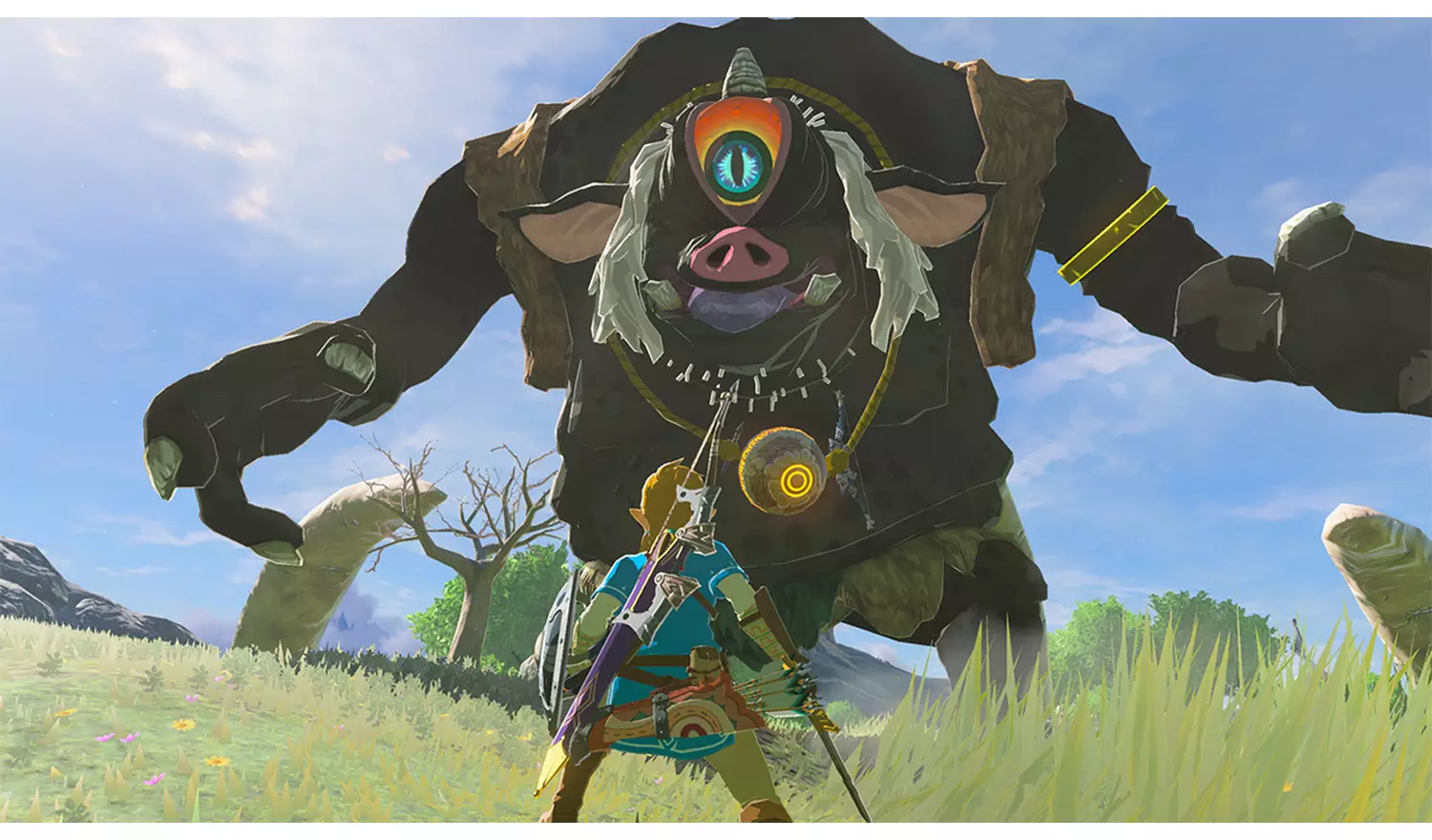 The Legend Of Zelda: Breath Of The Wild Switch 2 Game