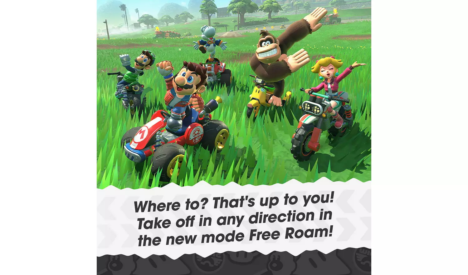 Mario Kart World Nintendo Switch 2 Game