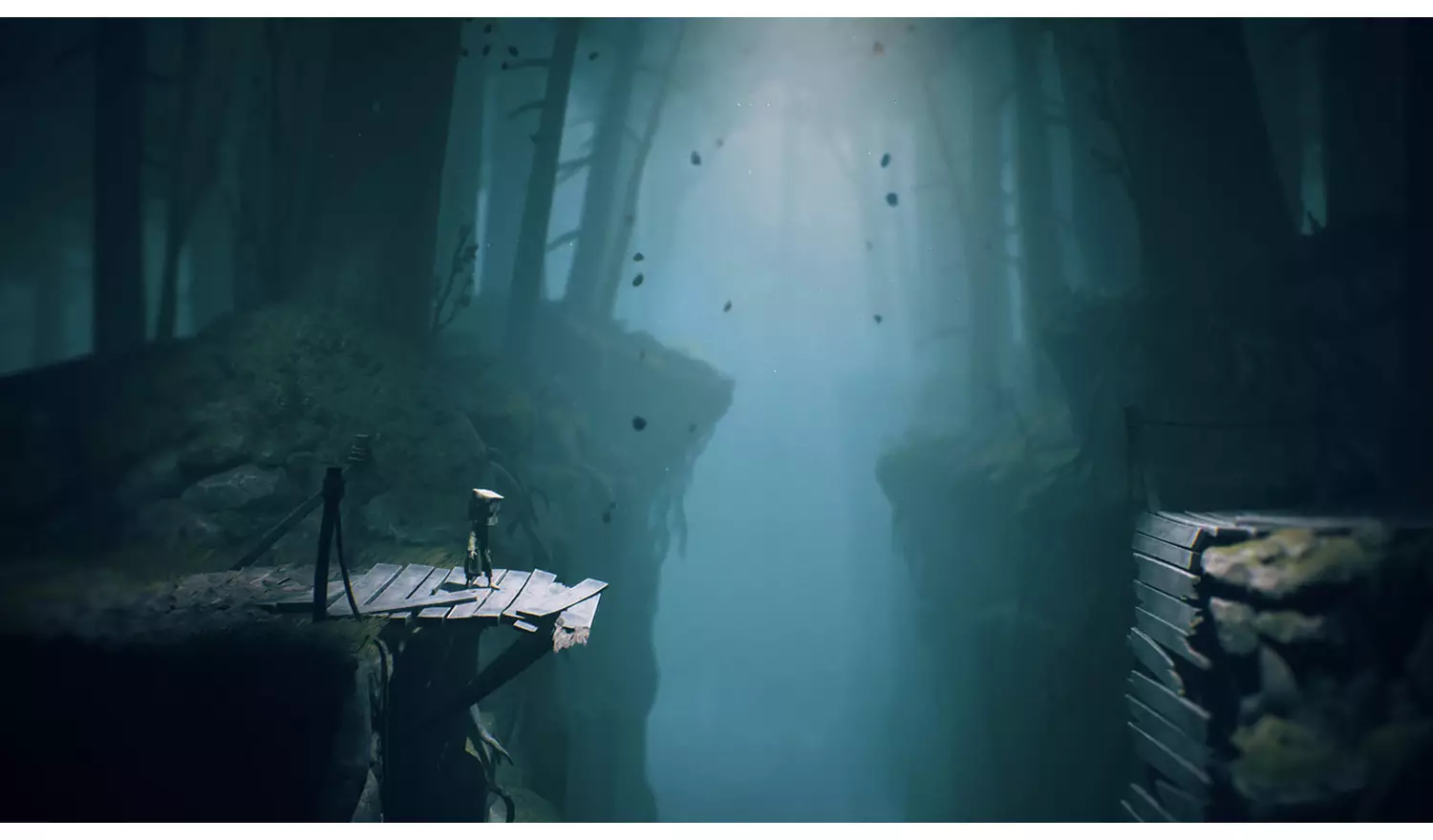 Little Nightmares II PS4 Game