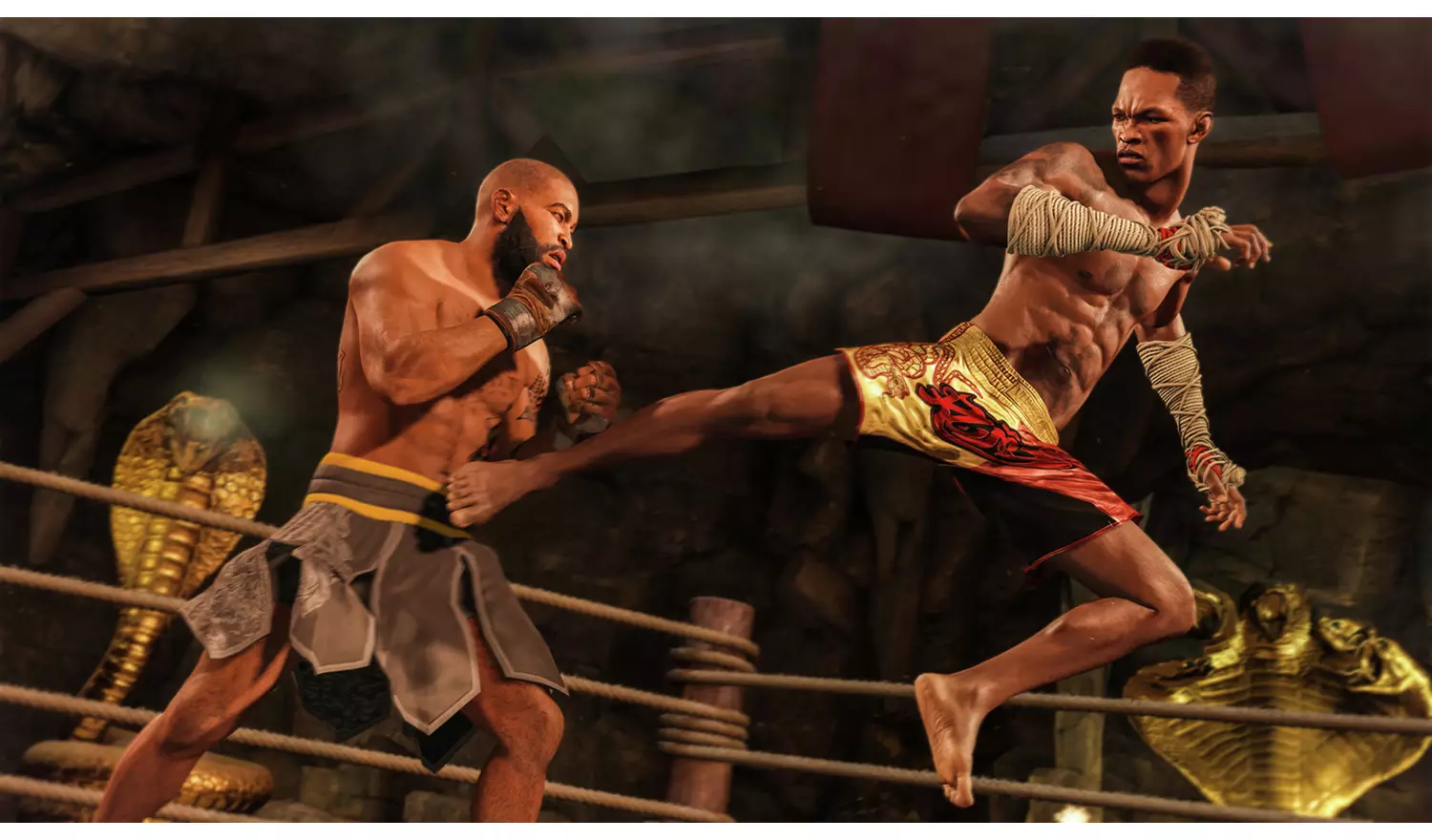 EA SPORTS UFC 4 PS4 Game