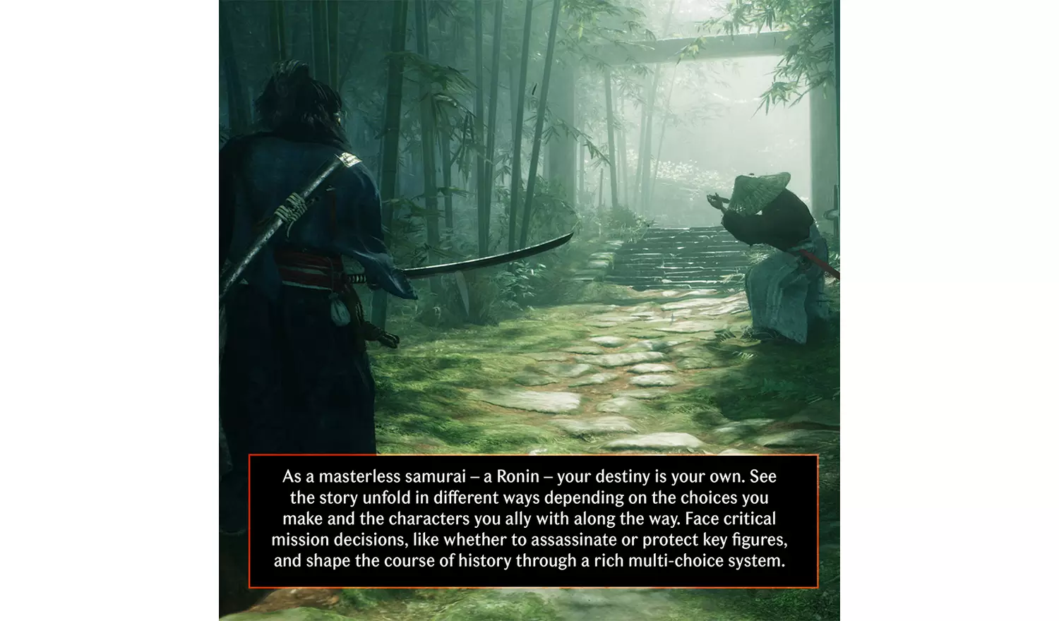 Rise Of The Ronin PS5 Game