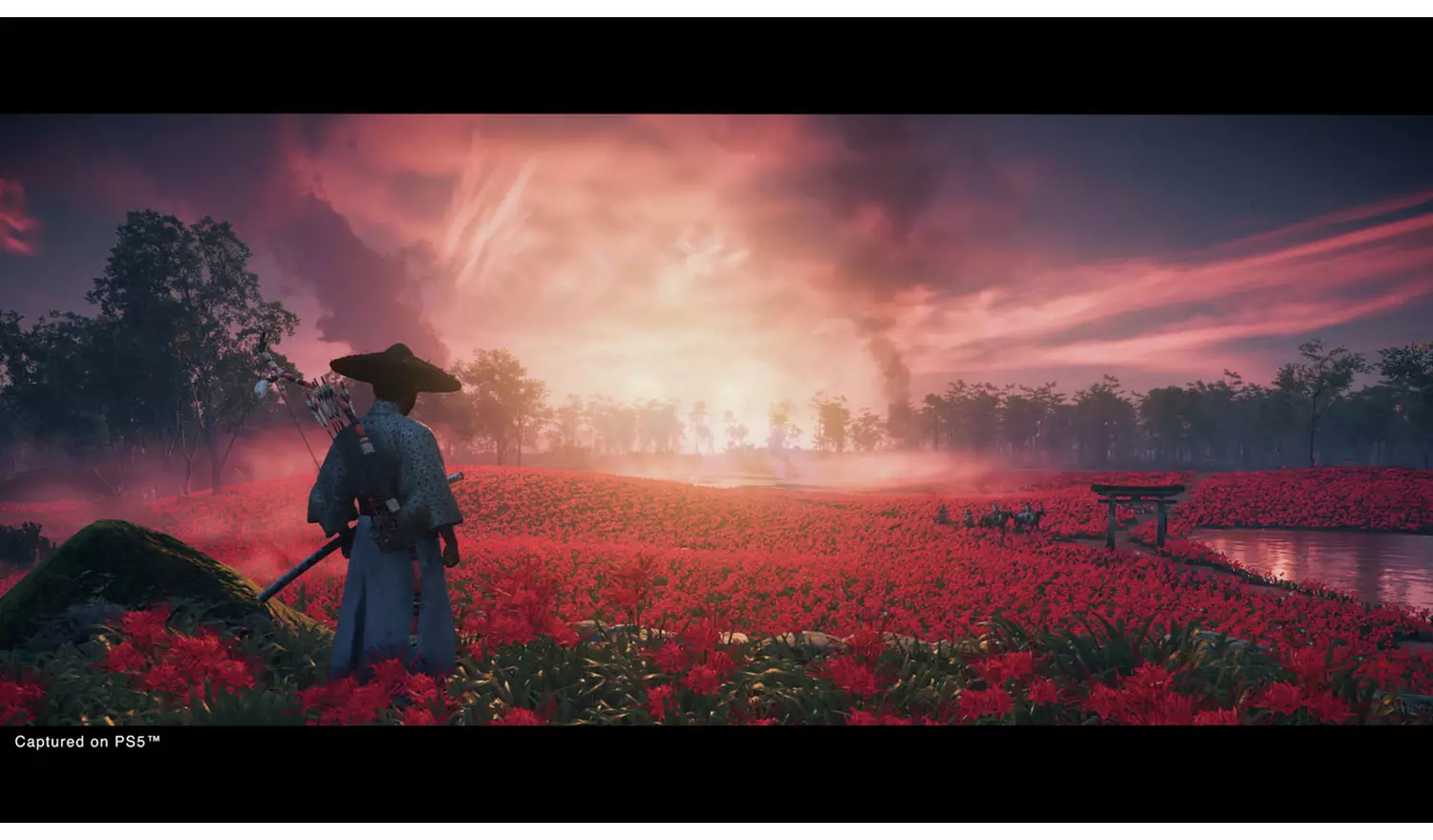 Ghost Of Tsushima: Director's Cut PS5 Game