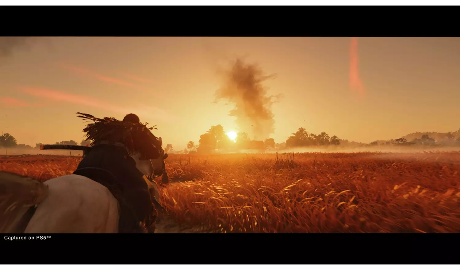 Ghost Of Tsushima: Director's Cut PS5 Game