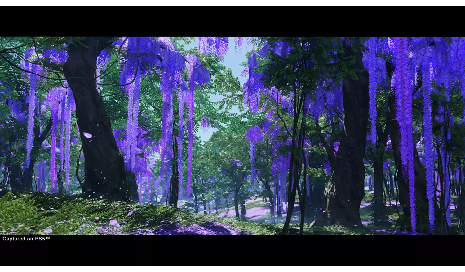 Ghost Of Tsushima: Director's Cut PS5 Game