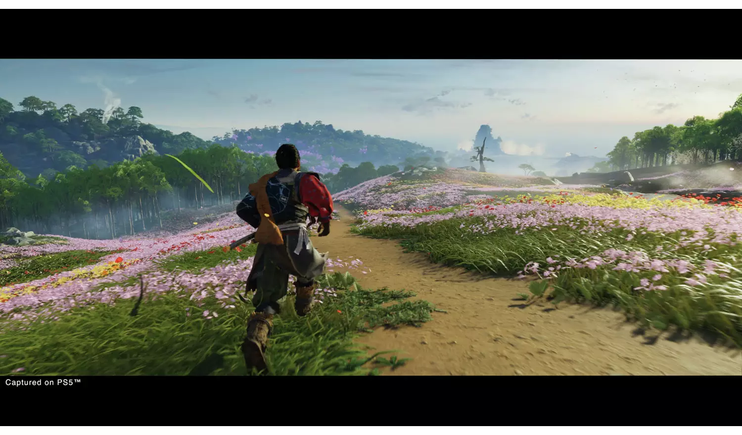 Ghost Of Tsushima: Director's Cut PS5 Game