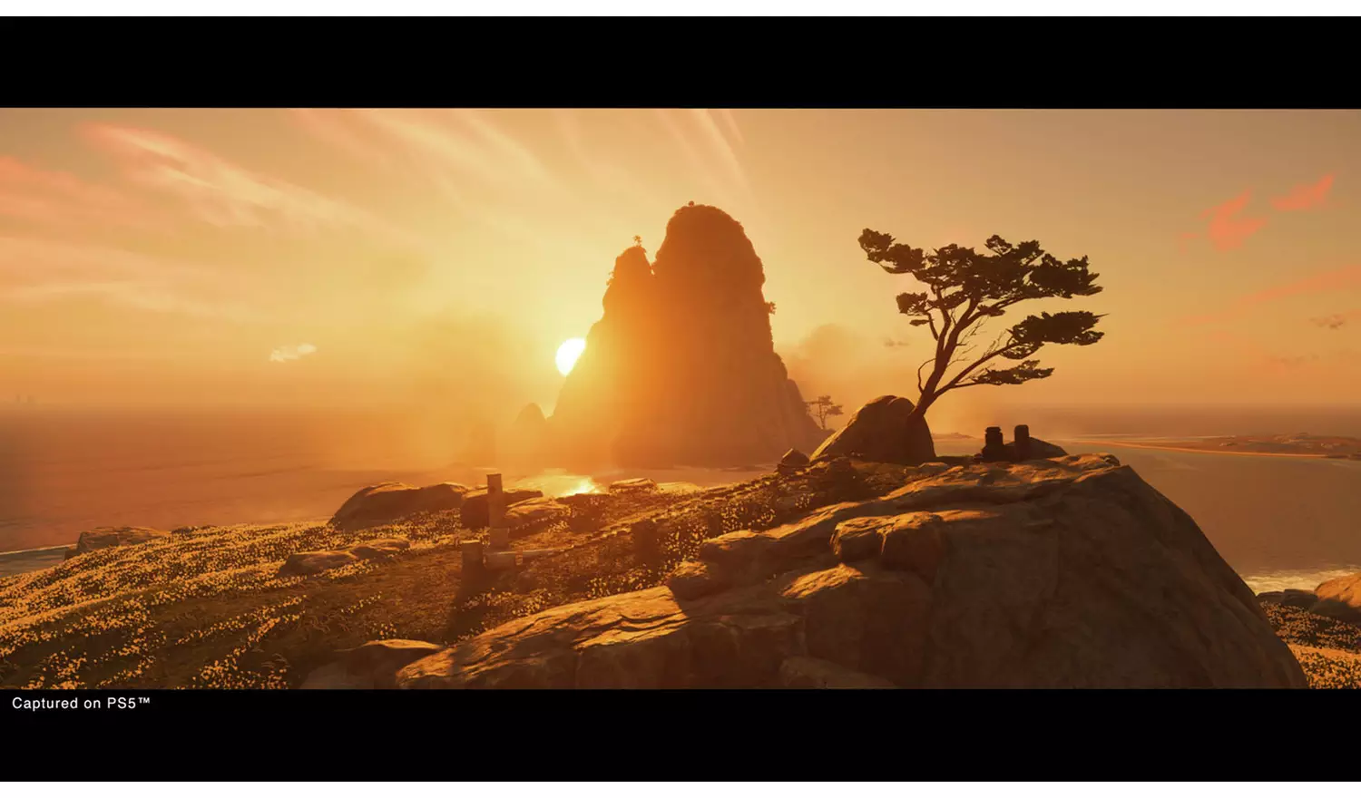 Ghost Of Tsushima: Director's Cut PS5 Game